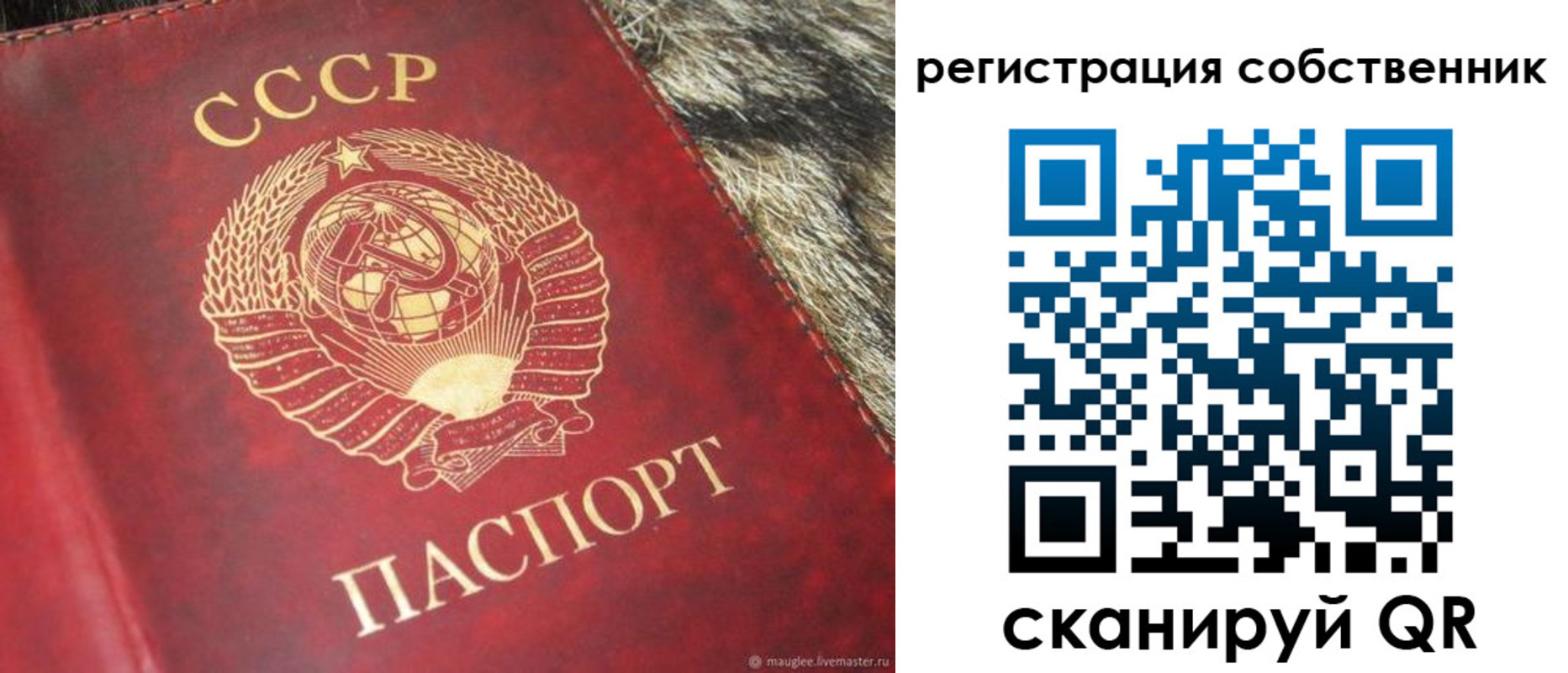 временная регистрация надежно в Светлом